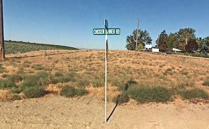 Best jugar chicken road in Spain