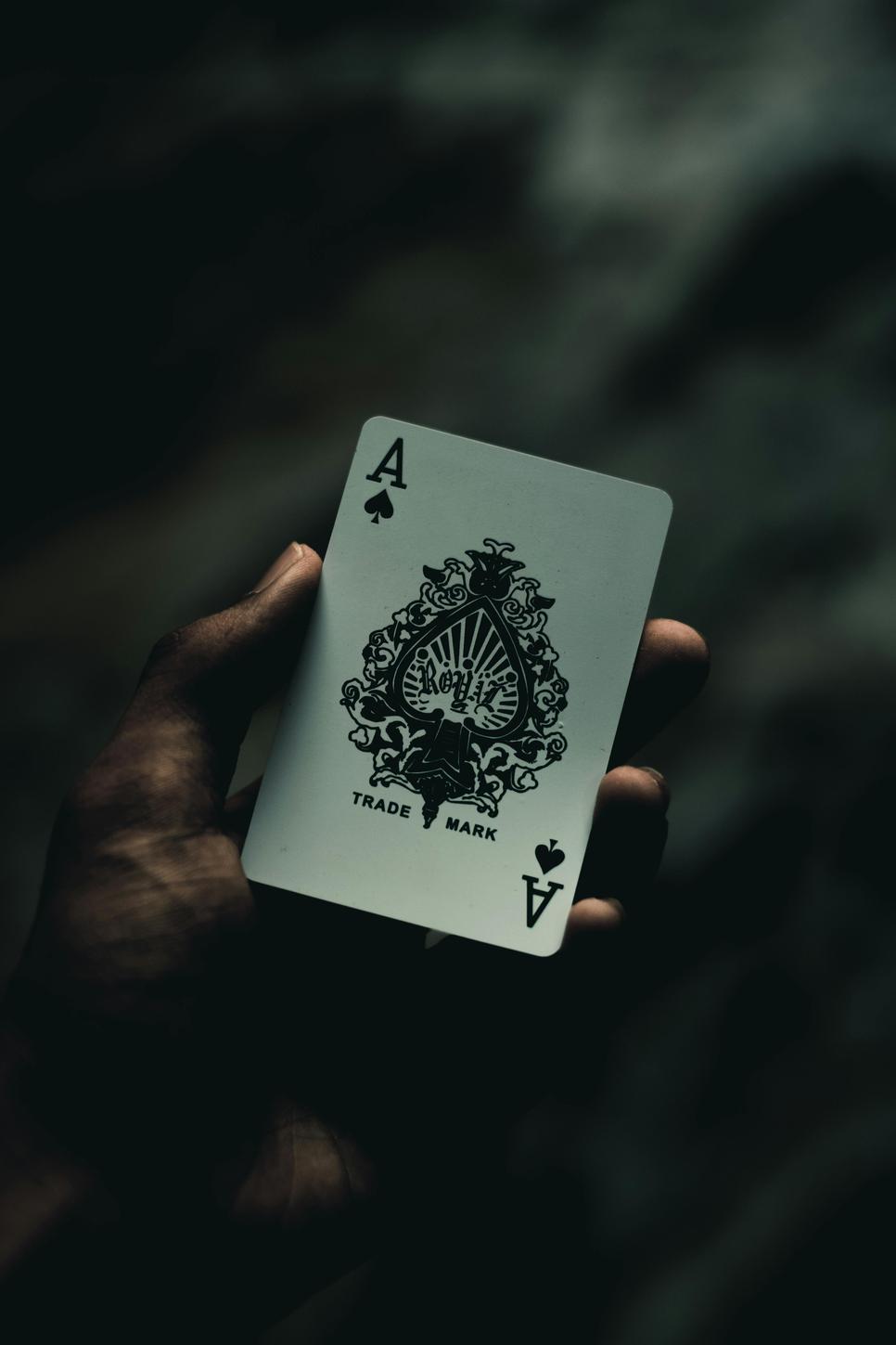 Guía Completa para Principiantes en bdmbet: Cómo Empezar a Jugar
